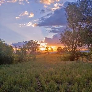 Meet your Posher, Cornelia